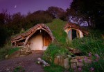 A low impact Woodland Home - Outdoors