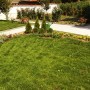 Озеленяване на двор с градина в с. Подгумер - декоративна растителност